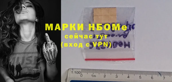индика Алзамай