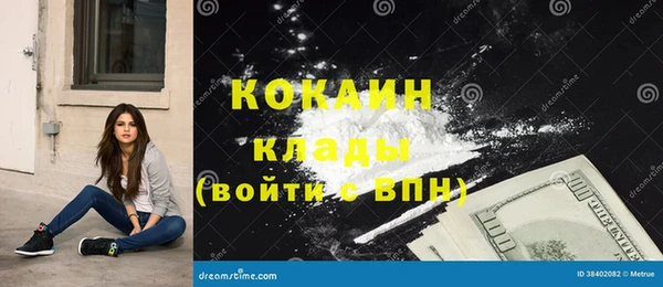 индика Алзамай